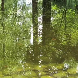 Parc de la Mairie - Vouvry