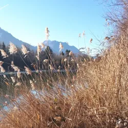 Rhône River Walks - Vouvry