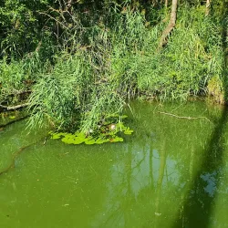 Rhône River Walks - Vouvry