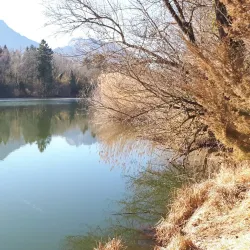 Rhône River Walks - Vouvry
