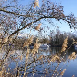 Rhône River Walks - Vouvry
