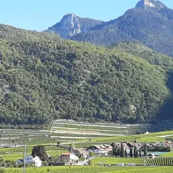 Sentier des Vignes - Vouvry