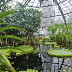 Botanical Garden of the University of Zurich - Wadenswil