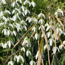 Hiking Trails around Wadenswil - Wadenswil