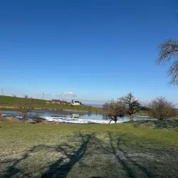 Hiking Trails around Wadenswil - Wadenswil