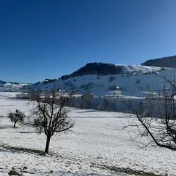 Hiking Trails around Wadenswil - Wadenswil