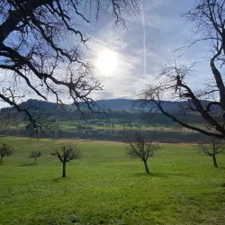 Hiking Trails around Wadenswil - Wadenswil