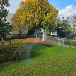 Hiking Trails around Wadenswil - Wadenswil