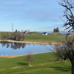 Hiking Trails around Wadenswil - Wadenswil