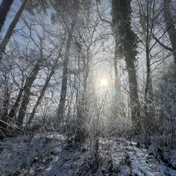 Hiking Trails around Wadenswil - Wadenswil