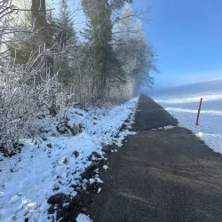 Hiking Trails around Wadenswil - Wadenswil