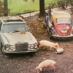 Local Museums and Cultural Centers - Wadenswil