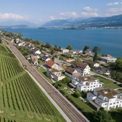 Vineyards of Wadenswil - Wadenswil