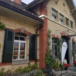 Vineyards of Wadenswil - Wadenswil