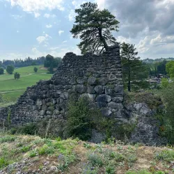 Wadenswil Castle (Schloss Wadenswil) - Wadenswil