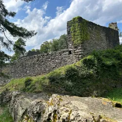 Wadenswil Castle (Schloss Wadenswil) - Wadenswil
