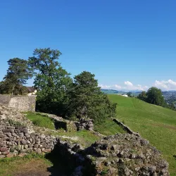 Wadenswil Castle (Schloss Wadenswil) - Wadenswil