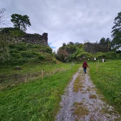 Wadenswil Castle (Schloss Wadenswil) - Wadenswil