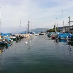 Wadenswil Marina - Wadenswil