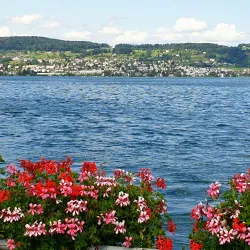 Wadenswil Marina - Wadenswil