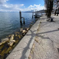 Wadenswil Marina - Wadenswil