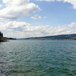 Wadenswil Marina - Wadenswil