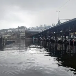 Wadenswil Old Town - Wadenswil