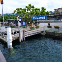 Wadenswil Old Town - Wadenswil