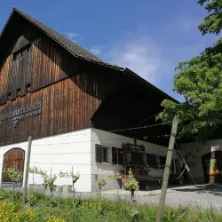 Wadenswil Vineyard Museum - Wadenswil