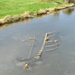 Greencity Wallisellen - Wallisellen