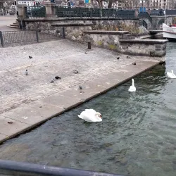 Limmat River Walk - Wallisellen