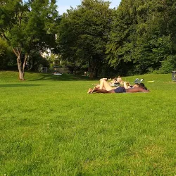 Wallisellen Community Center - Wallisellen