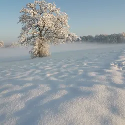 Wallisellen Park - Wallisellen