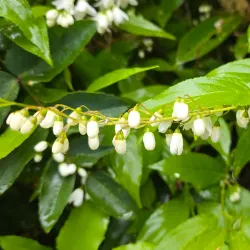 Wallisellen Park - Wallisellen