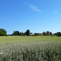 Wallisellen Park - Wallisellen