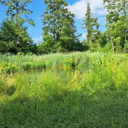 Wallisellen Park - Wallisellen