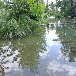 Wallisellen Park - Wallisellen