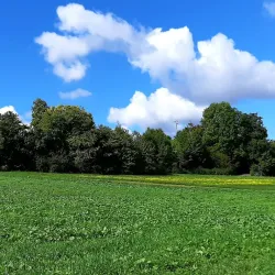 Wallisellen Park - Wallisellen