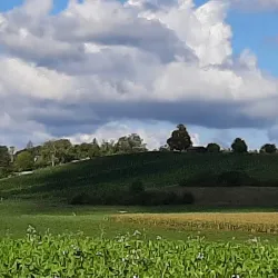 Wallisellen Park - Wallisellen