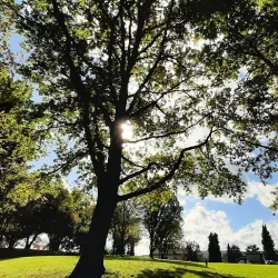 Wallisellen Sports Center - Wallisellen