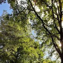 Wallisellen Sports Center - Wallisellen