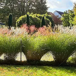 Wallisellen Sports Center - Wallisellen