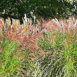 Wallisellen Sports Center - Wallisellen