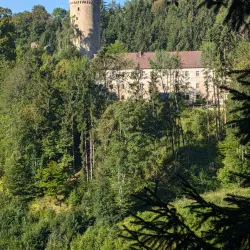 Schloss Wildberg - Wattwil