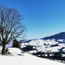 Säntisblick Panorama Point - Wattwil
