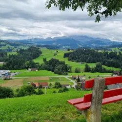 Säntisblick Panorama Point - Wattwil