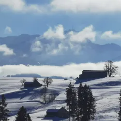 Säntisblick Panorama Point - Wattwil