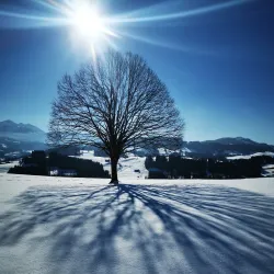 Säntisblick Panorama Point - Wattwil