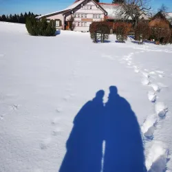 Säntisblick Panorama Point - Wattwil