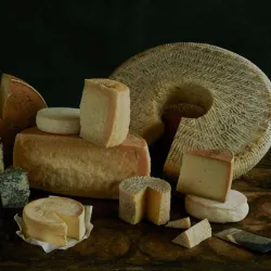 Toggenburg Cheese Dairy - Wattwil